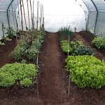 Serre per orti e agricoltura