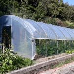 Serre per orti e agricoltura
