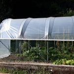 Serre per orti e agricoltura