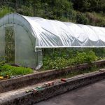 Serre per orti e agricoltura