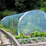 Serre per orti e agricoltura