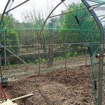 Serre per orti e agricoltura
