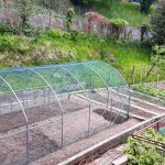 Serre per orti e agricoltura