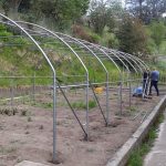 Serre per orti e agricoltura