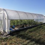 Serre per orti e agricoltura