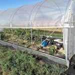 Serre per orti e agricoltura