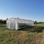 Serre per orti e agricoltura