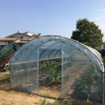 Serre per orti e agricoltura