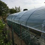 Serre per orti e agricoltura