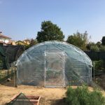 Serre per orti e agricoltura