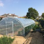 Serre per orti e agricoltura