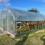 Serre per orti e agricoltura