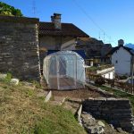 Serre per orti e agricoltura