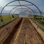 Serre per orti e agricoltura