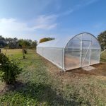 Serre per orti e agricoltura