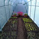 Serre per orti e agricoltura