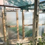 Serre per orti e agricoltura