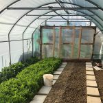 Serre per orti e agricoltura