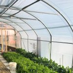 Serre per orti e agricoltura