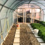 Serre per orti e agricoltura