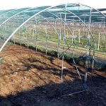 Serre per orti e agricoltura